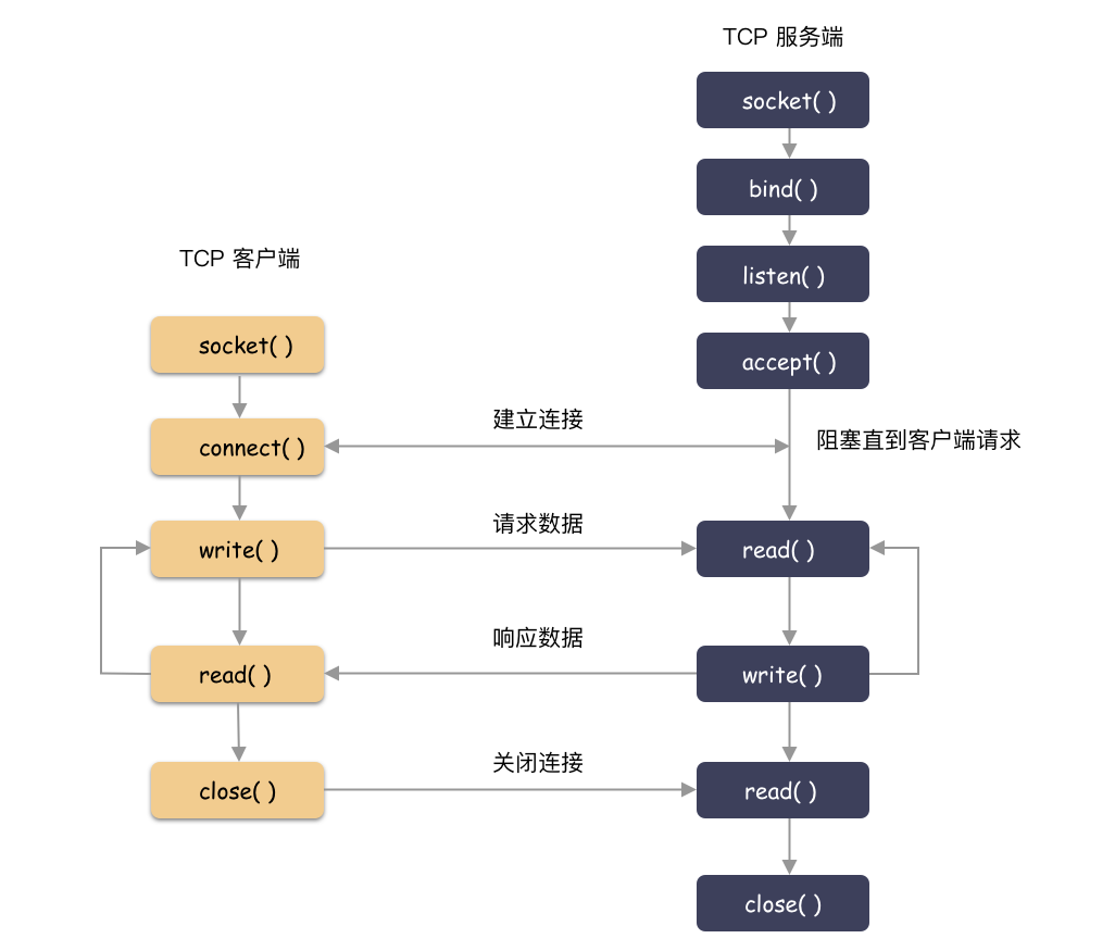 1262efe76a711627da2b6d8ce90637e7.png